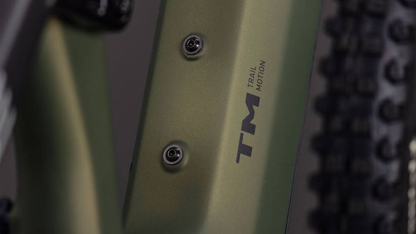 CUBE AMS Hybrid 177 C:62 TM 600X reedgreen´n´matrix – Ansicht 3