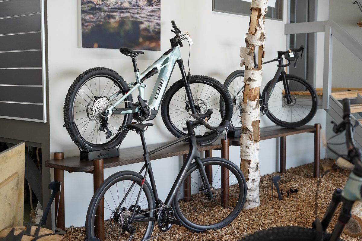 Vélos entre les troncs de bouleau dans le nouveau showroom