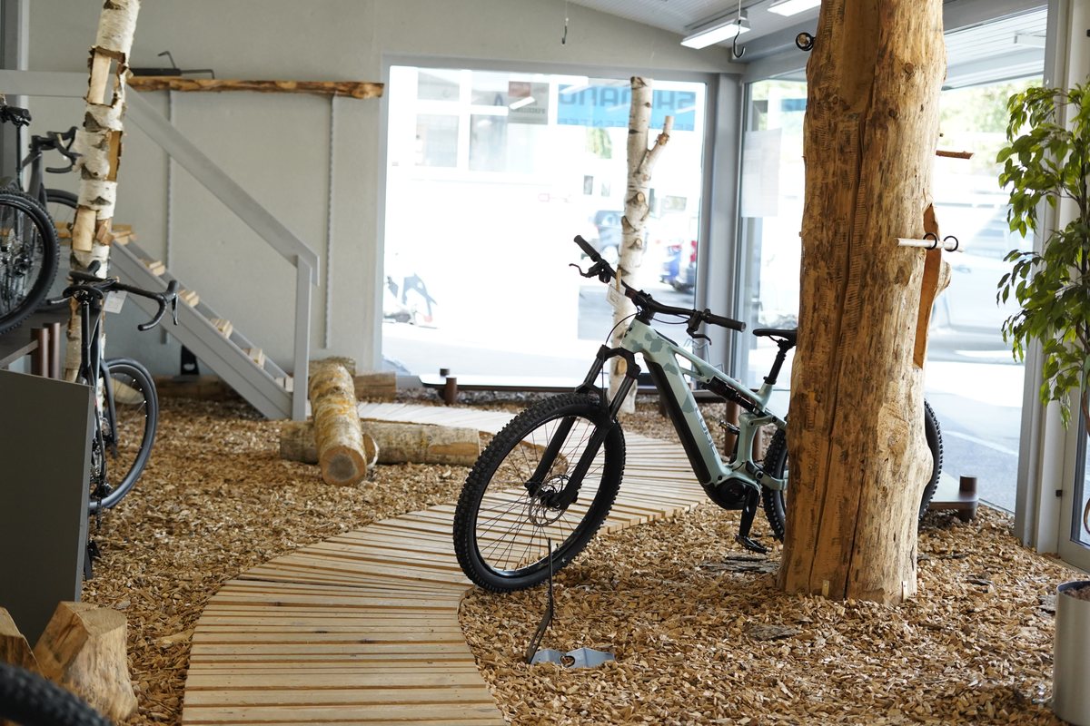 Espace de vente terminé du CUBE Store Valbirse avec vélos et troncs de bouleau